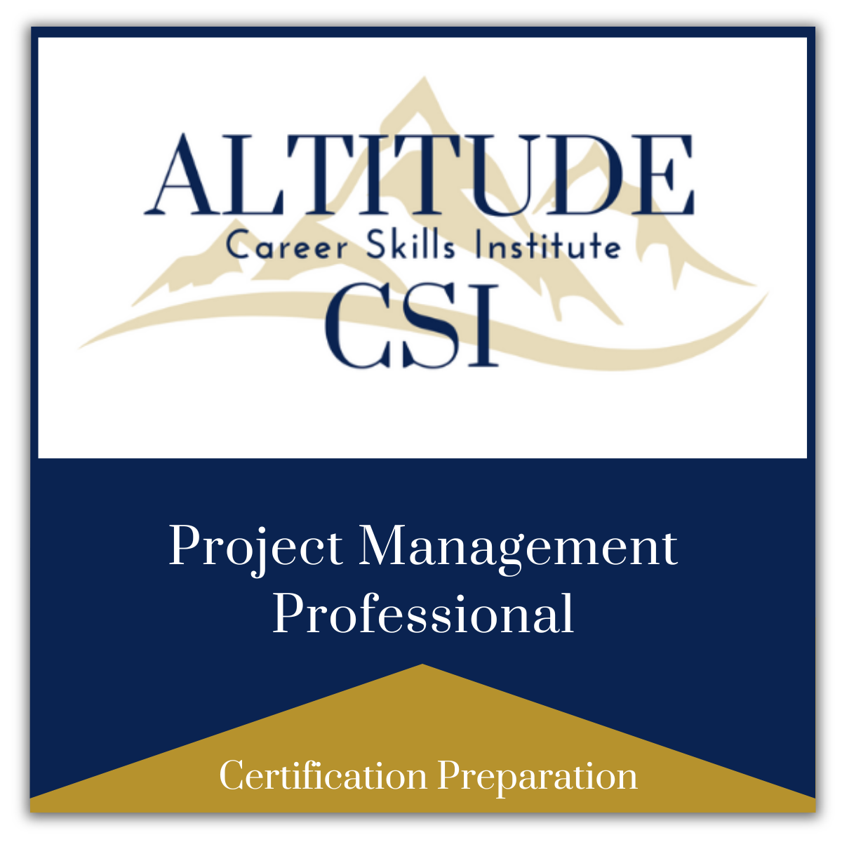 Project Management Professional (PMP)