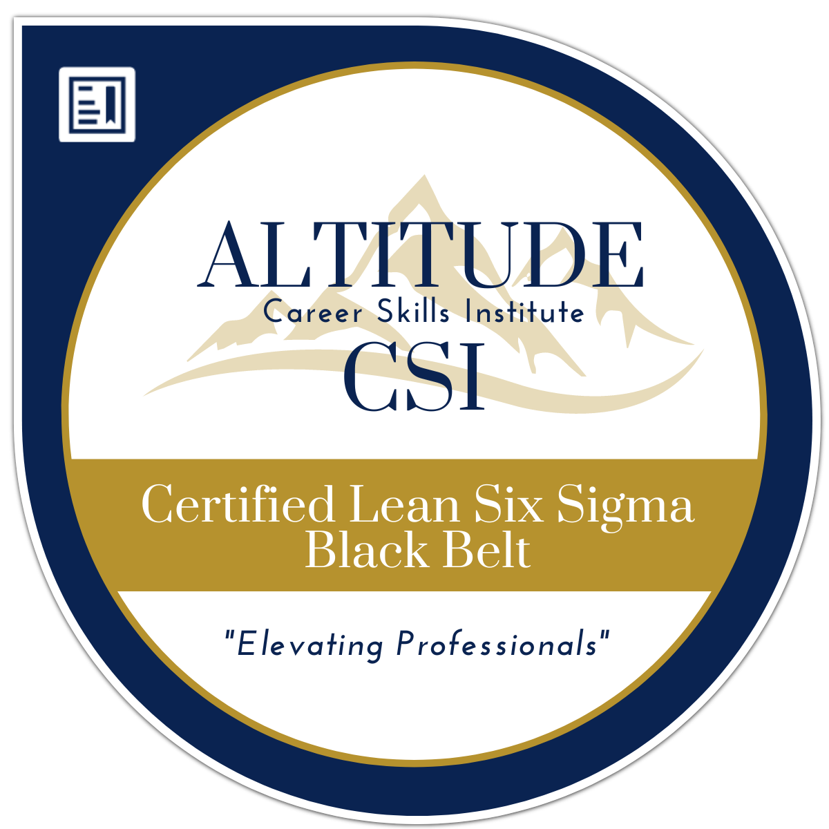 Six sigma black sales belt certification online